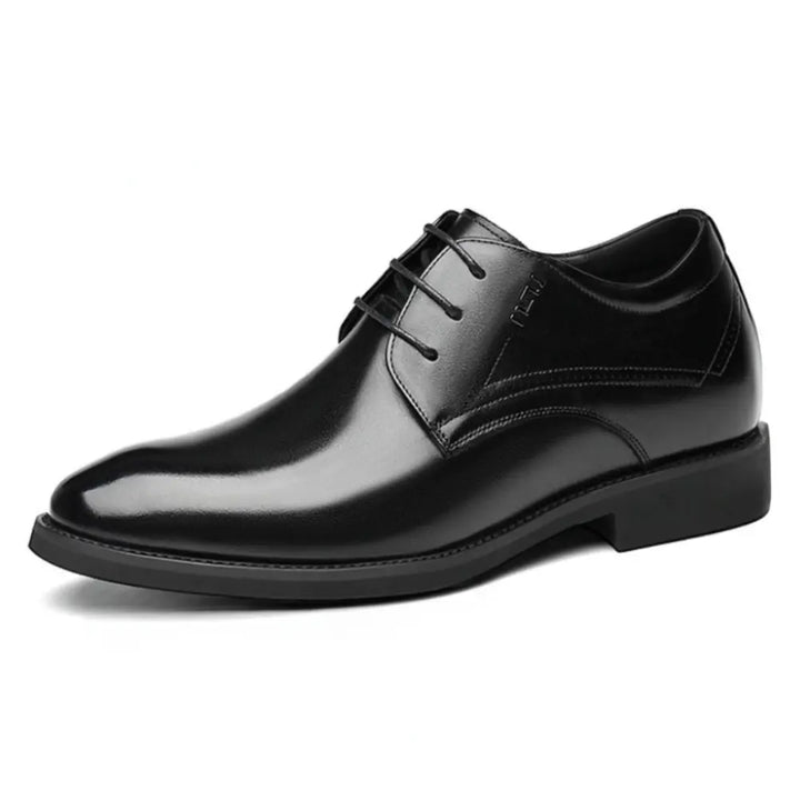 Vienna | Classic Oxfords (8CM Elevation)